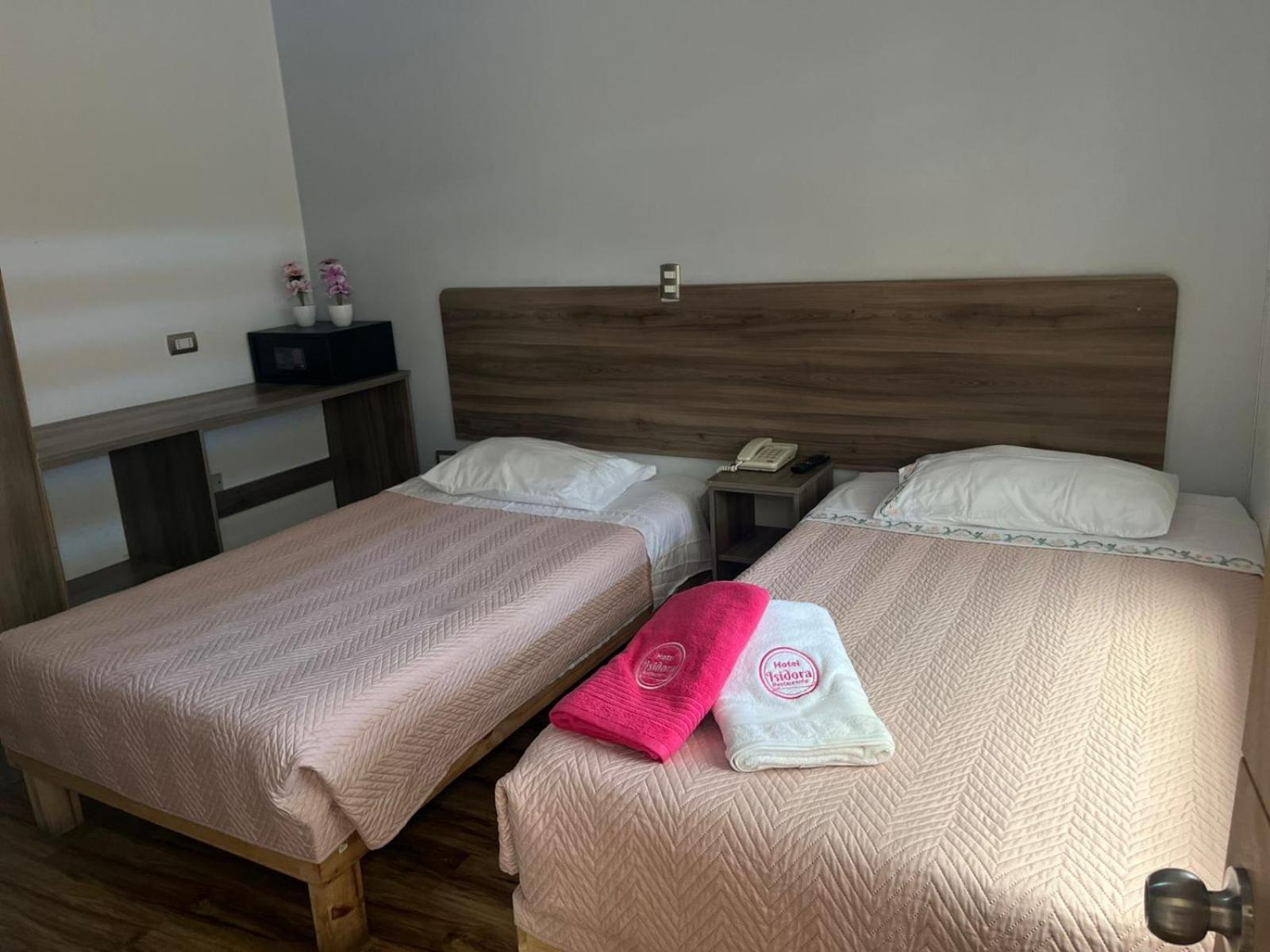 Hotel Y Restaurant Isidora Аріка Екстер'єр фото
